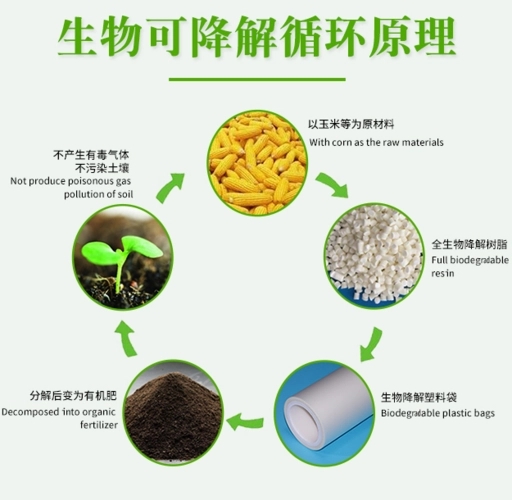 可降解日化包裝材料有哪些(沐浴液瓶子生物降解的原理)